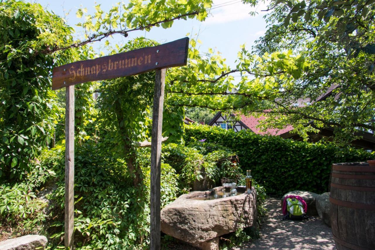 Terrassenpark Apartments Sasbachwalden Kültér fotó