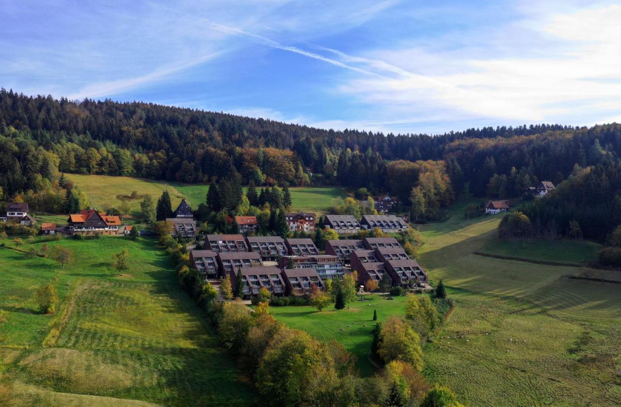 Terrassenpark Apartments Sasbachwalden Kültér fotó